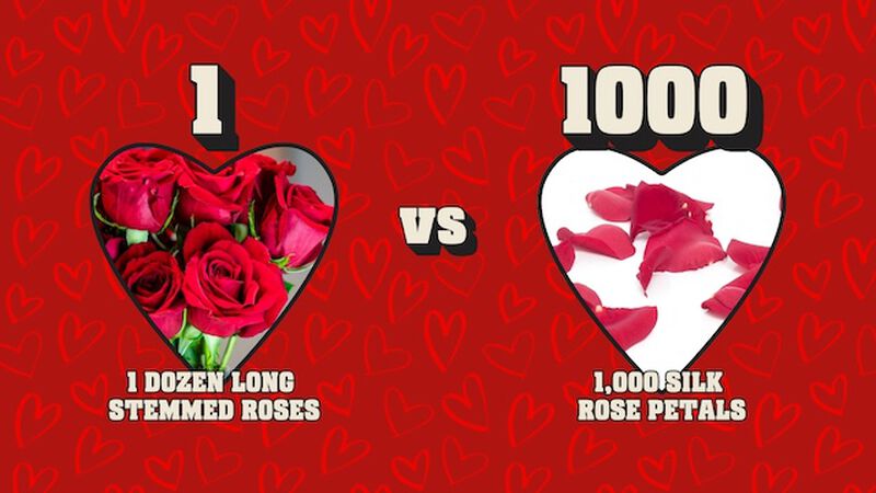 1 vs 1000 - Valentine's Edition